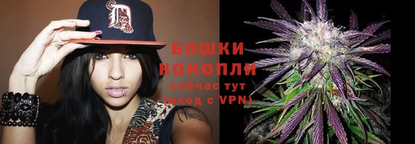 бошки Богданович