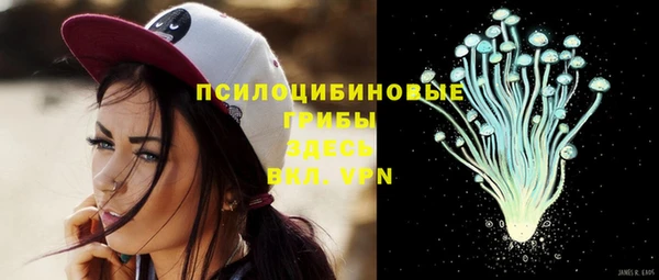 бошки Богданович