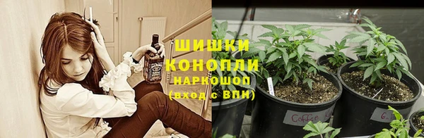 ПСИЛОЦИБИНОВЫЕ ГРИБЫ Богородицк